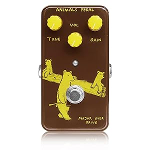 CARL MARTIN DC DRIVE - ビンテージトーンを持ったシンプルなオーバー